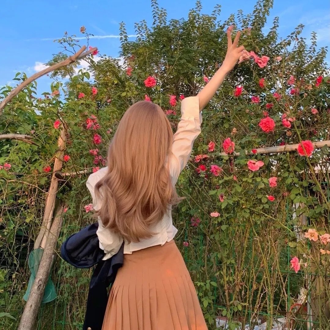 菜鸟